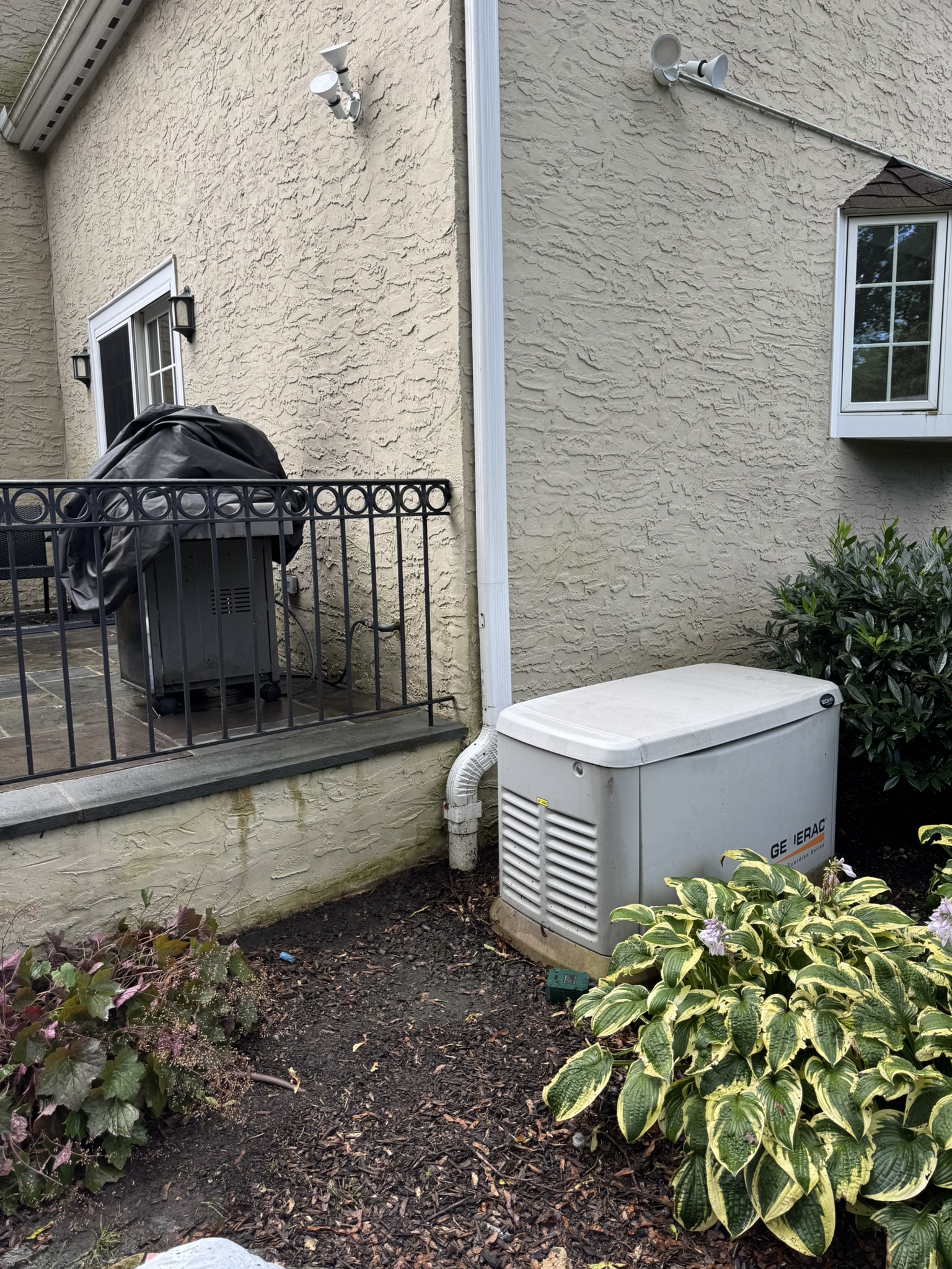 House Siding — Mildew Removal — after